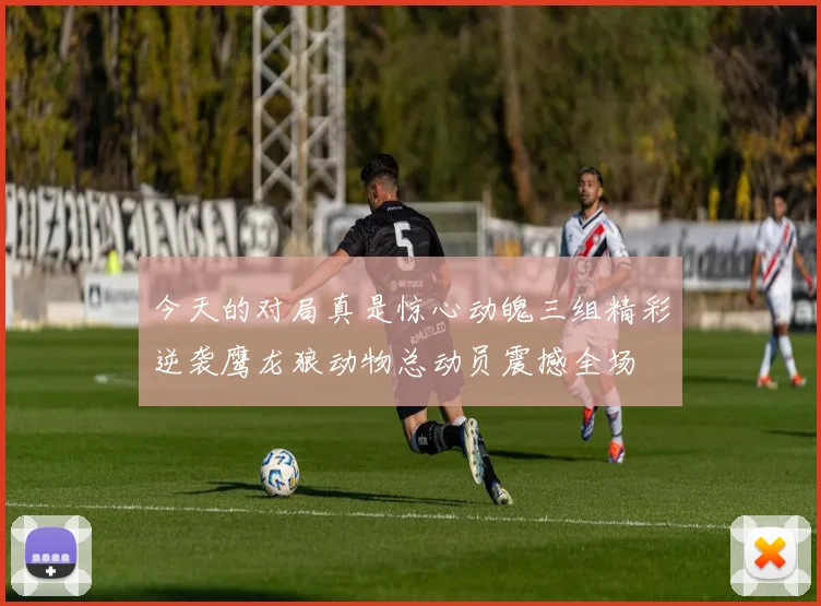 今天的对局真是惊心动魄三组精彩逆袭鹰龙狼动物总动员震撼全场